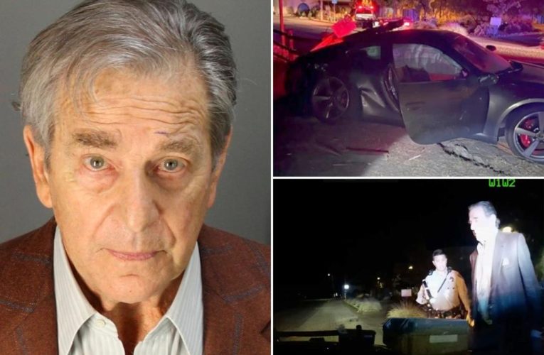 Paul Pelosi kicked out of California police charity after flashing membership during DUI arrest