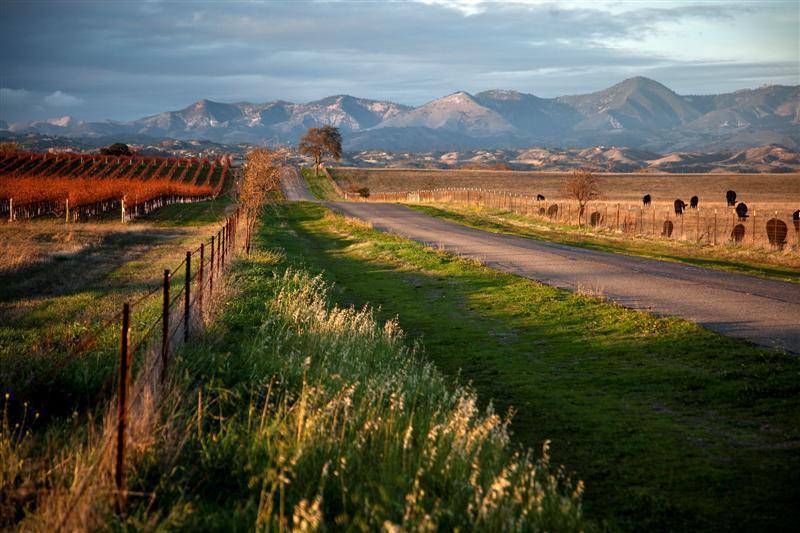 The Santa Ynez Valley home boasts mountain views and is situated along the Santa Ynez River in California. 