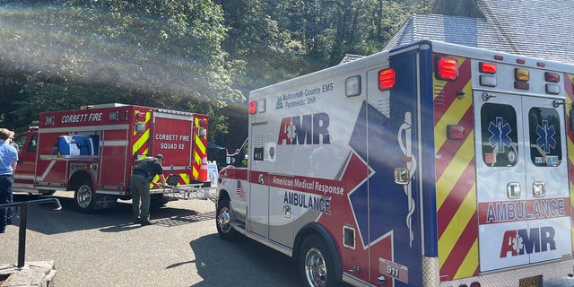 A 62-year-old woman was hiking with friends along the Multnomah Falls-Larch Mountain Trail on Friday.