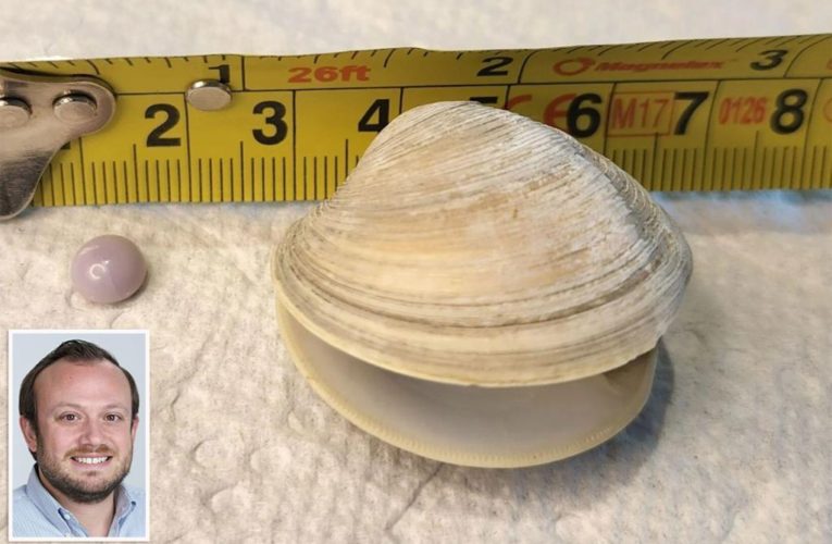 Rare purple pearl found inside clam by Delaware diner