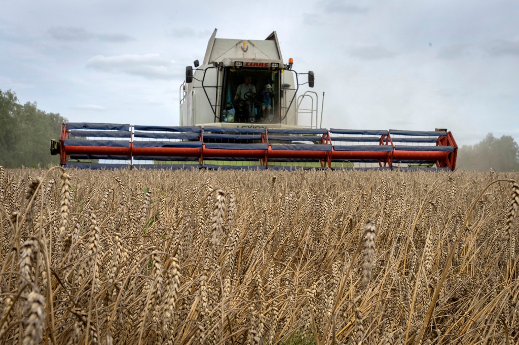 A harvester collects wheat in the village of Zghurivka, Ukraine.