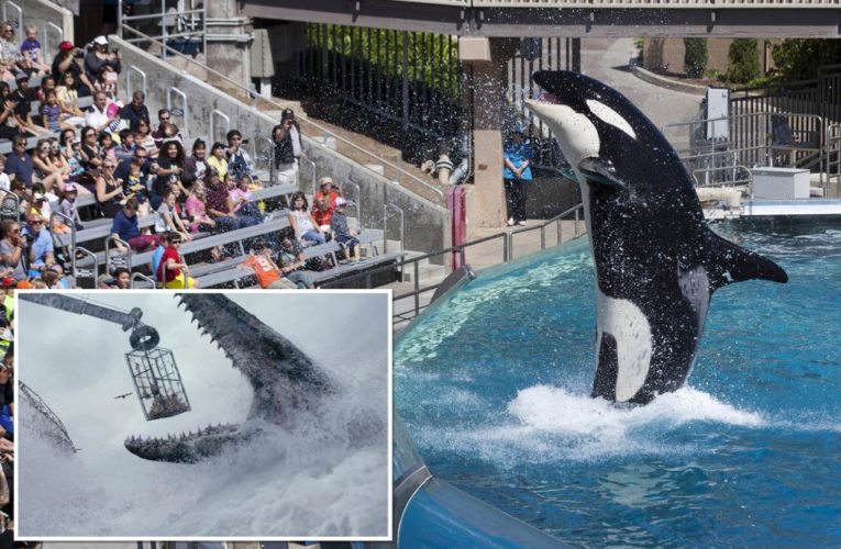 SeaWorld denies creating giant ‘Jurassic World’- style orcas