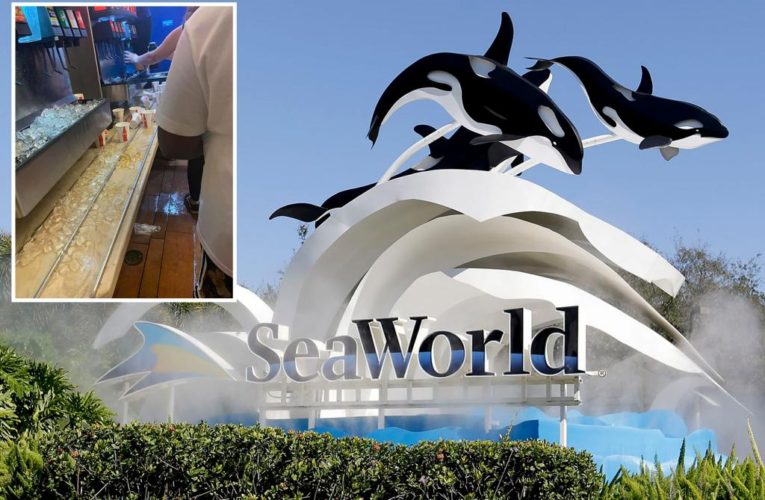 Sea World guests shocked at trash overflowing theme park