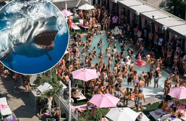 Shark attacks drive swimmers into crowded NYC rooftop pools