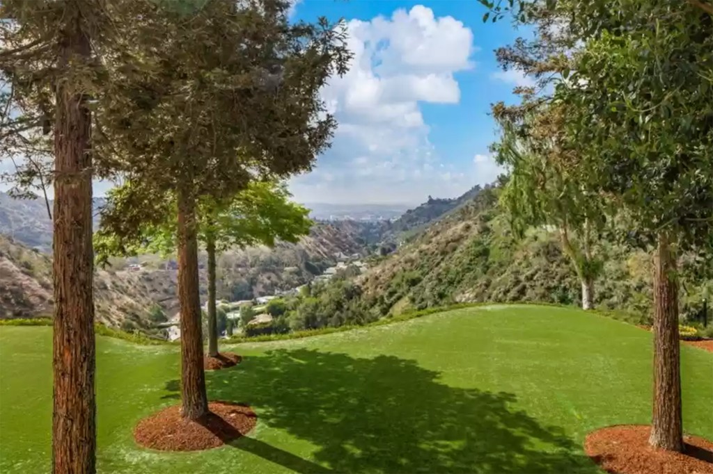 The expansive backyard.