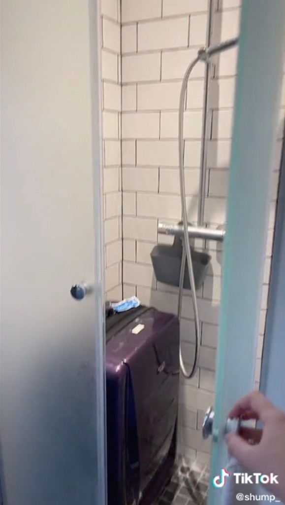 A shower big enough for her suitcase.