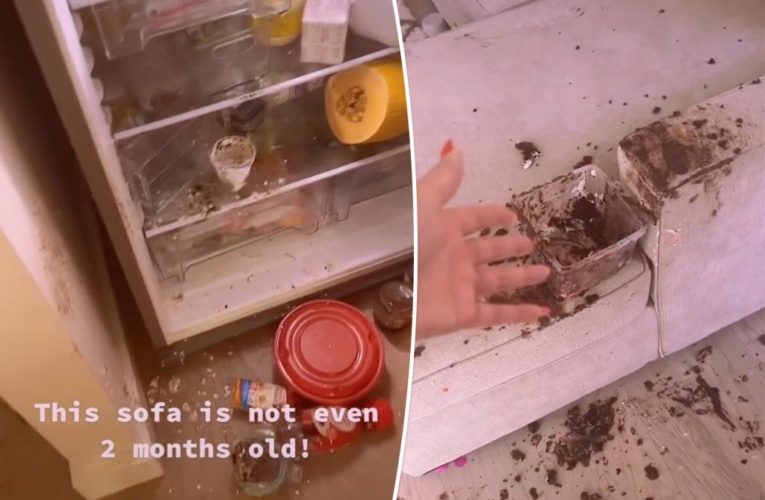 Horrifying ‘path of destruction’ after kid gets into the fridge