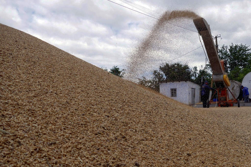 Workers storage grain at a terminal during barley harvesting in Odesa.