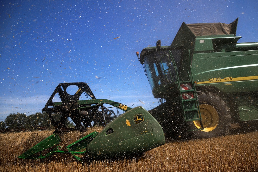 Grain in Ukraine. 