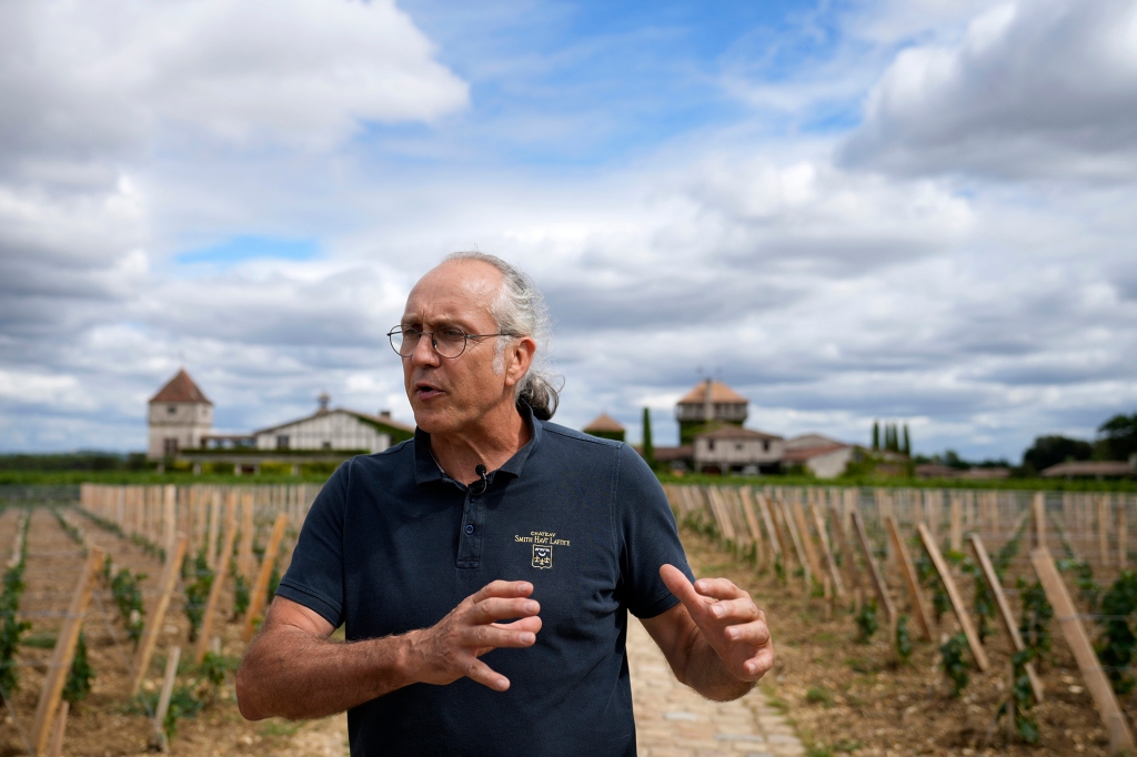 Fabien Teitgen, technical director of Château Smith-Haut-Lafitte, an estate that grows organic wine grapes in Martillac, south of Bordeaux.