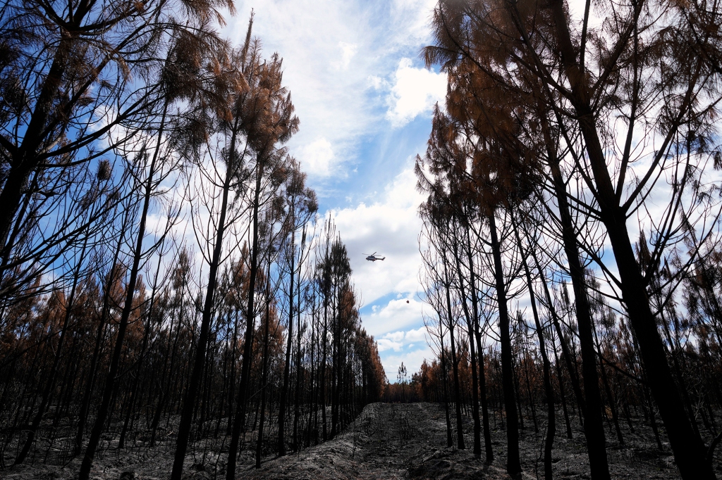 A helicopter carries a water bag to put out the remains of fires in a burned forest, in Hostens, south of Bordeaux, southwestern France.