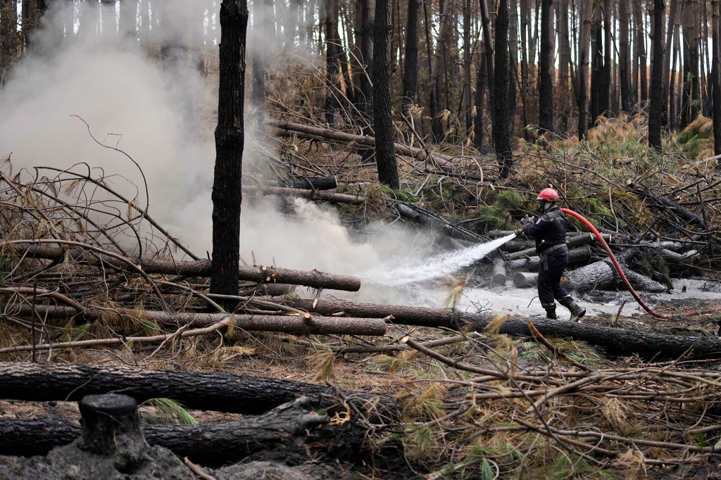 In the Bordeaux region, in southwestern France, giant wildfires destroyed large areas of pine forests. It did not rain from the end of June until mid-August.