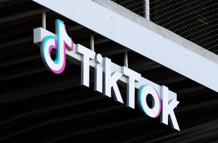 TikTok security flaw put hundreds of millions at hacking risk