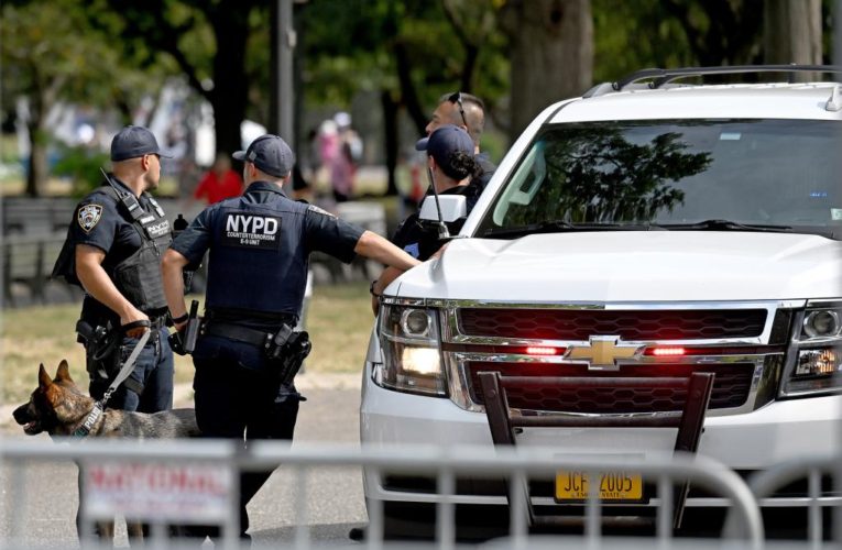 Man caught with gun near US Open in NYC: sources