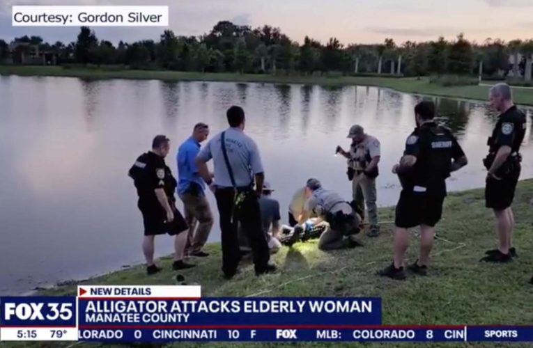 77-year-old Florida woman attacked by alligator