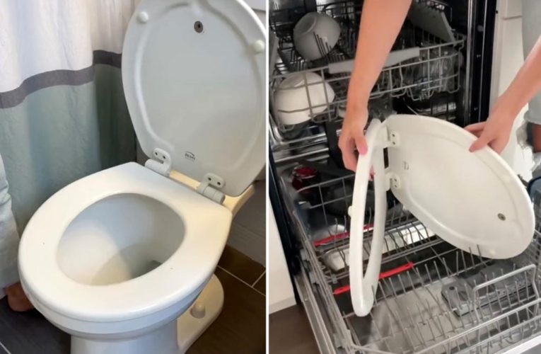 Viral toilet ‘cleaning’ hack sparks controversy: ‘Nasty AF’