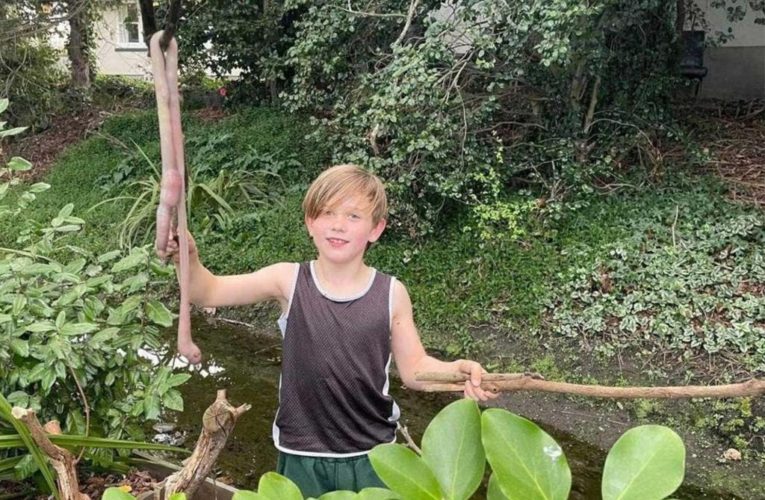 Boy unearths nightmarish 3-foot-long worm in backyard