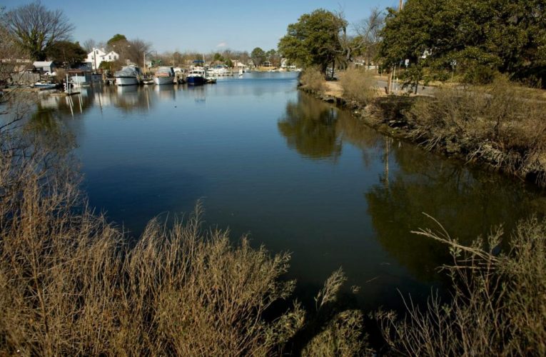 New research facility shows how to live with rising tides