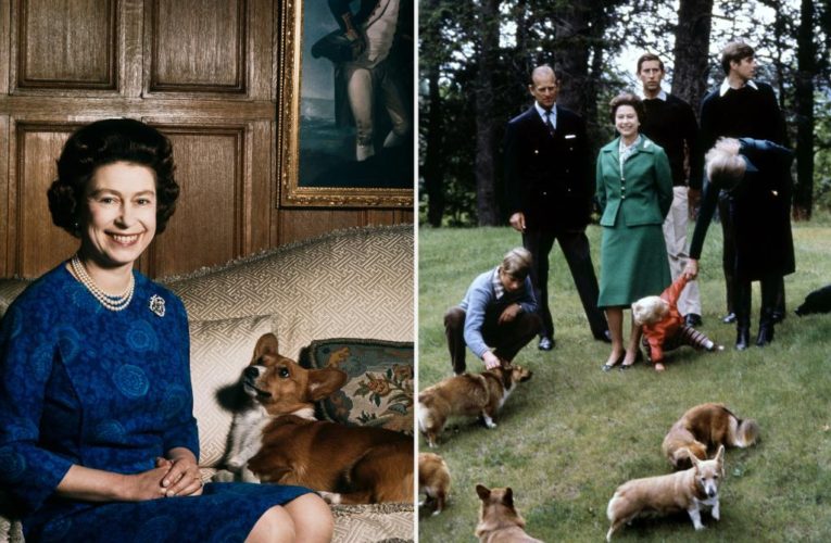 Queen Elizabeth used to write ‘wickedly funny’ letters from corgis