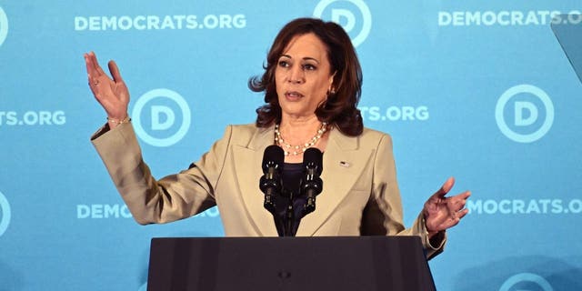 Vice President Kamala Harris speaks during the Democratic National Committee summer meeting in National Harbor, Maryland, on Saturday, Sept. 10, 2022.