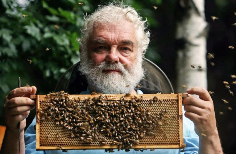 Royal beekeeper tasked to inform queen’s bees of her death