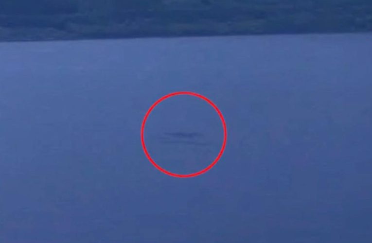 Man claims ‘eel-like shapes’ of Loch Ness Monster on cam