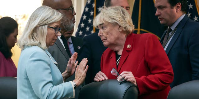 Some Republicans said the bill, sponsored by Cheney and Rep. Zoe Lofgren, D-Calif., goes too far in prescribing election rules for states. (Alex Wong/Getty Images)