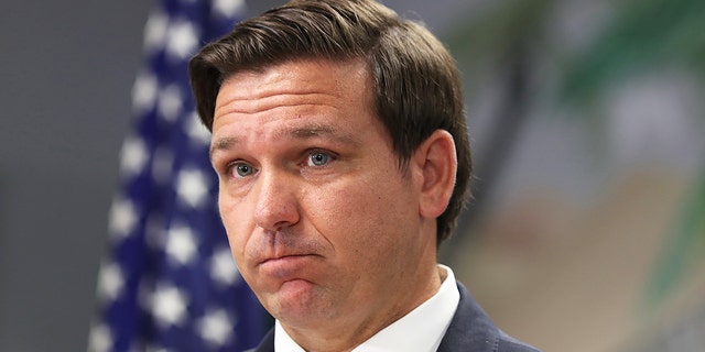 Florida Gov. Ron DeSantis holds  press conference. (Joe Raedle/Getty Images)