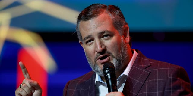 Sen. Ted Cruz speaks at the Turning Point USA Student Action Summit on July 22, 2022, in Tampa, Florida. (Joe Raedle/Getty Images)