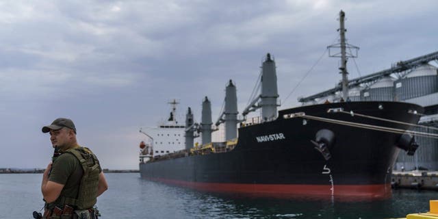 A security officer stands next to the ship Navi-Star which sits full of grain since Russia's invasion of Ukraine began five months ago as it waits to sail from the Odesa Sea Port, in Odesa, Ukraine, Friday, July 29, 2022.