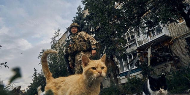 A Ukrainian soldier stands in Izium, Kharkiv region, Ukraine, Tuesday, Sept. 13, 2022.