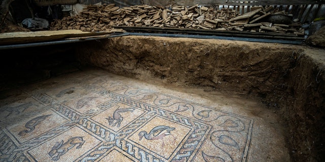 Details of parts of a Byzantine-era mosaic floor are uncovered by a Palestinian farmer in Bureij in central Gaza Strip, Sept. 5, 2022.