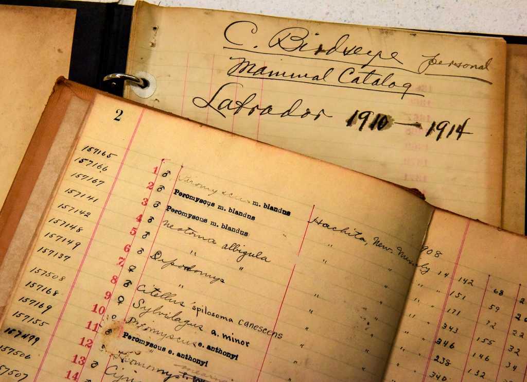 U.S. Geological Survey collection kept notebooks written by Clarence Birdseye.