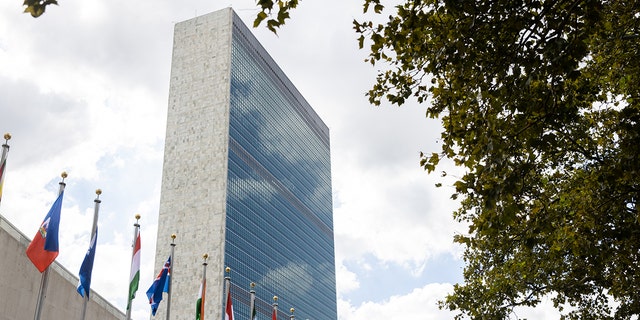 International flags outside the United Nations headquarters in New York.