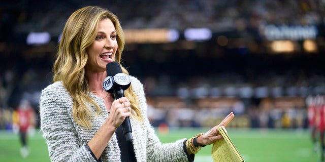 Fox Sports sideline reporter Erin Andrews on the field during a game between the Tampa Bay Buccaneers and New Orleans Saints at Caesars Superdome in New Orleans.