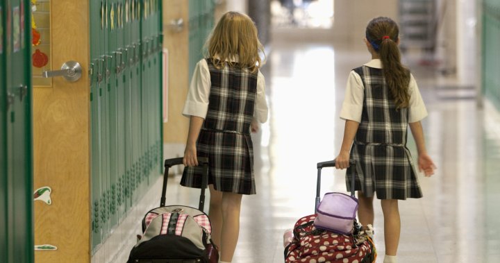 Toxic ‘forever chemicals’ found in school uniforms in Canada and U.S.: study