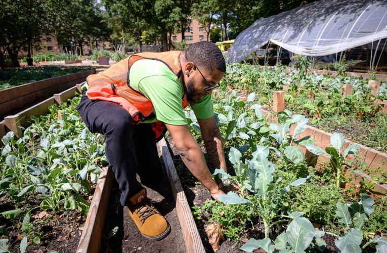 Organizations train New Yorkers for sustainable industries