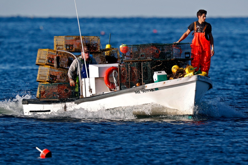 West coast activists are meddling in Maine's lobster fishing industry, putting the state's economy at risk. 