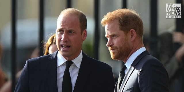 Prince William and Prince Harry view the tributes left after the Death of Queen Elizabeth II, at Windsor Castle, Windsor, Berkshire, UK, September 10, 2022