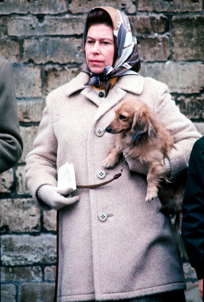 Queen Elizabeth wearing headscarf and coat in the 70s holding a small corgi under one arm.