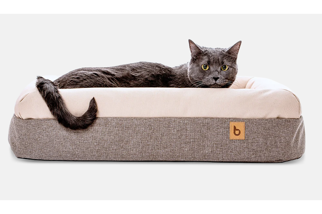 A cat sitting in a gray and white cat bed