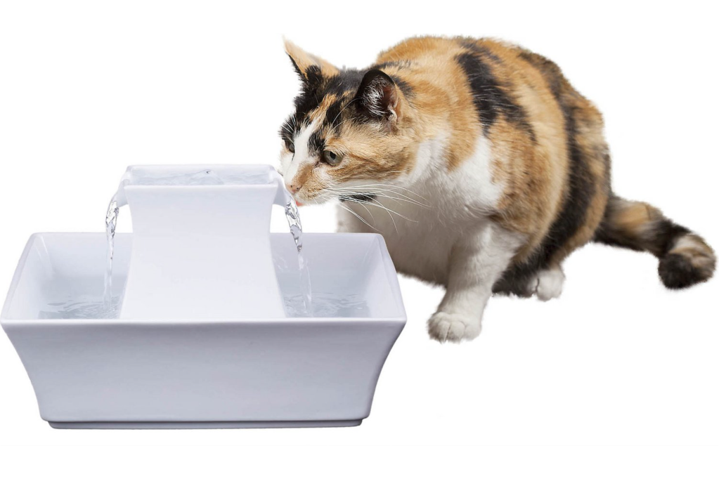 A cat drinking from a white fountain 