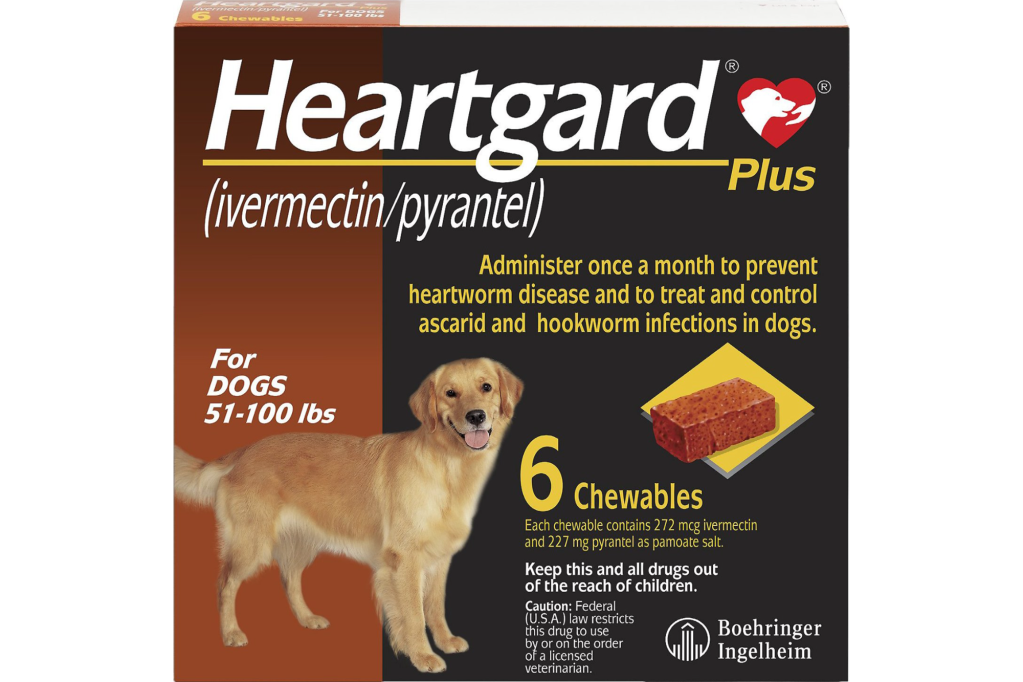 A Heartguard medication for a dog 