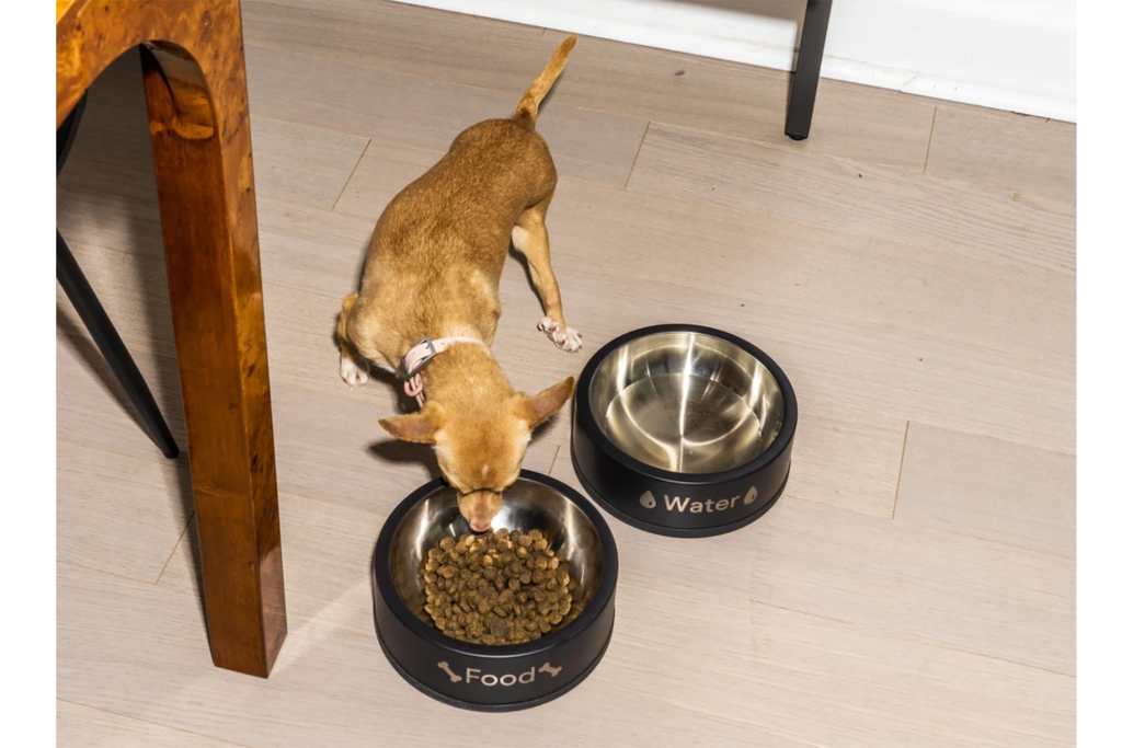 A dog eating from a black food and water bowl 