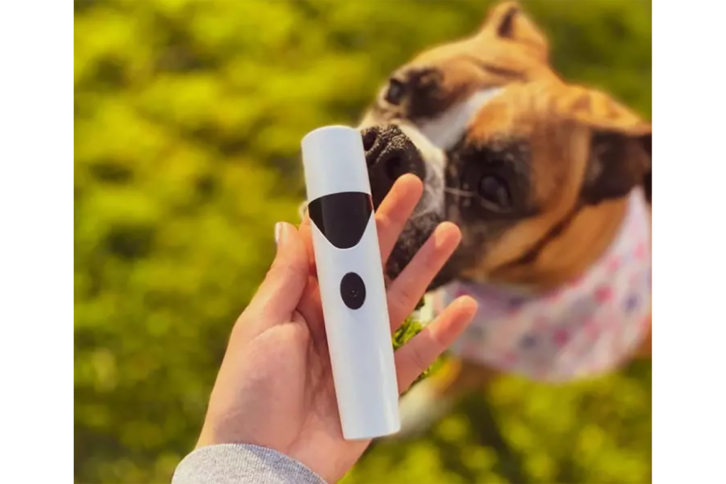 A hand holding a dog nail trimmer in front of a bulldog