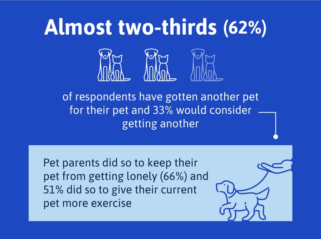 People admitted to get a pet for their pet.