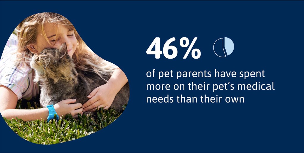 Nearly half said they spent more on their pet's medical needs than their own.