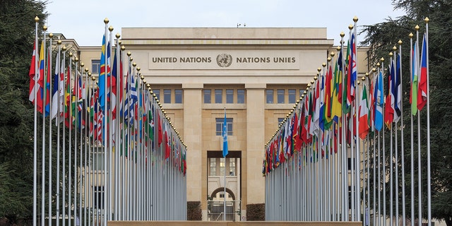 GENEVA, SWITZERLAND - December 17, 2017: Allee des Nations (Avenue of Nations) of the United Nations Palace in Geneva, with the flags of the member countries.