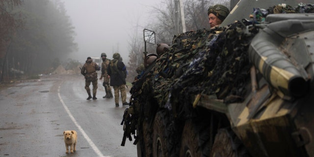 A dog is seen in the middle of a street as Ukrainian army soldiers take part of a military sweep to search for possible remnants of Russian troops after their withdrawal from villages in the outskirts of Kyiv, Ukraine, Friday, April 1, 2022. 