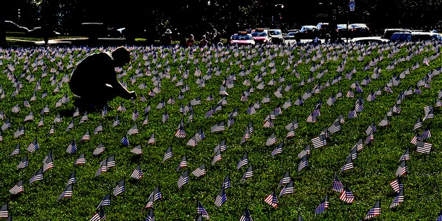 American flags have been planted on a grassy area of the Mall, (14th street NW at Madison Drive NW) each of them represents a veteran or a service member who died by suicide